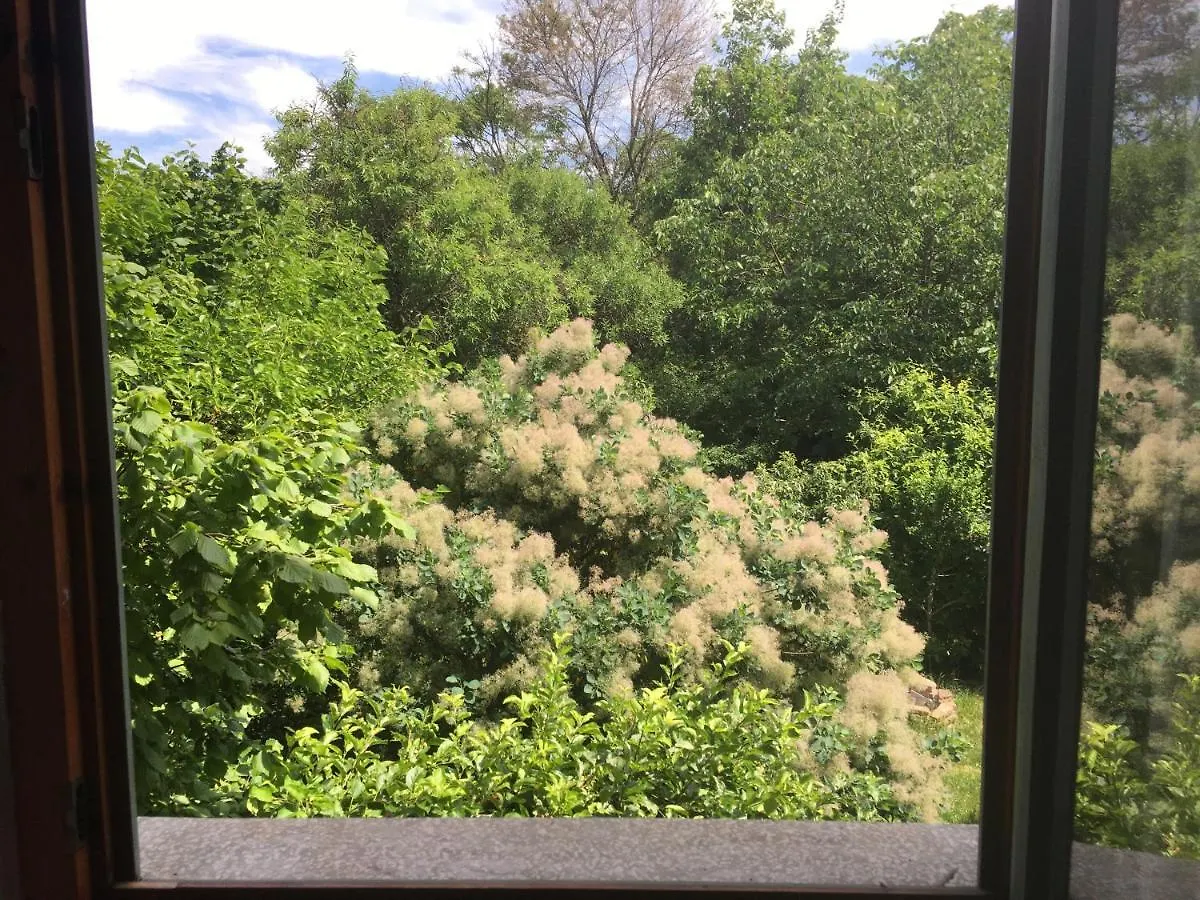 Budapest Garden Hostel